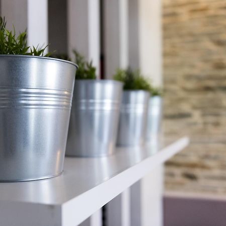 Albergue Goas Abadín エクステリア 写真